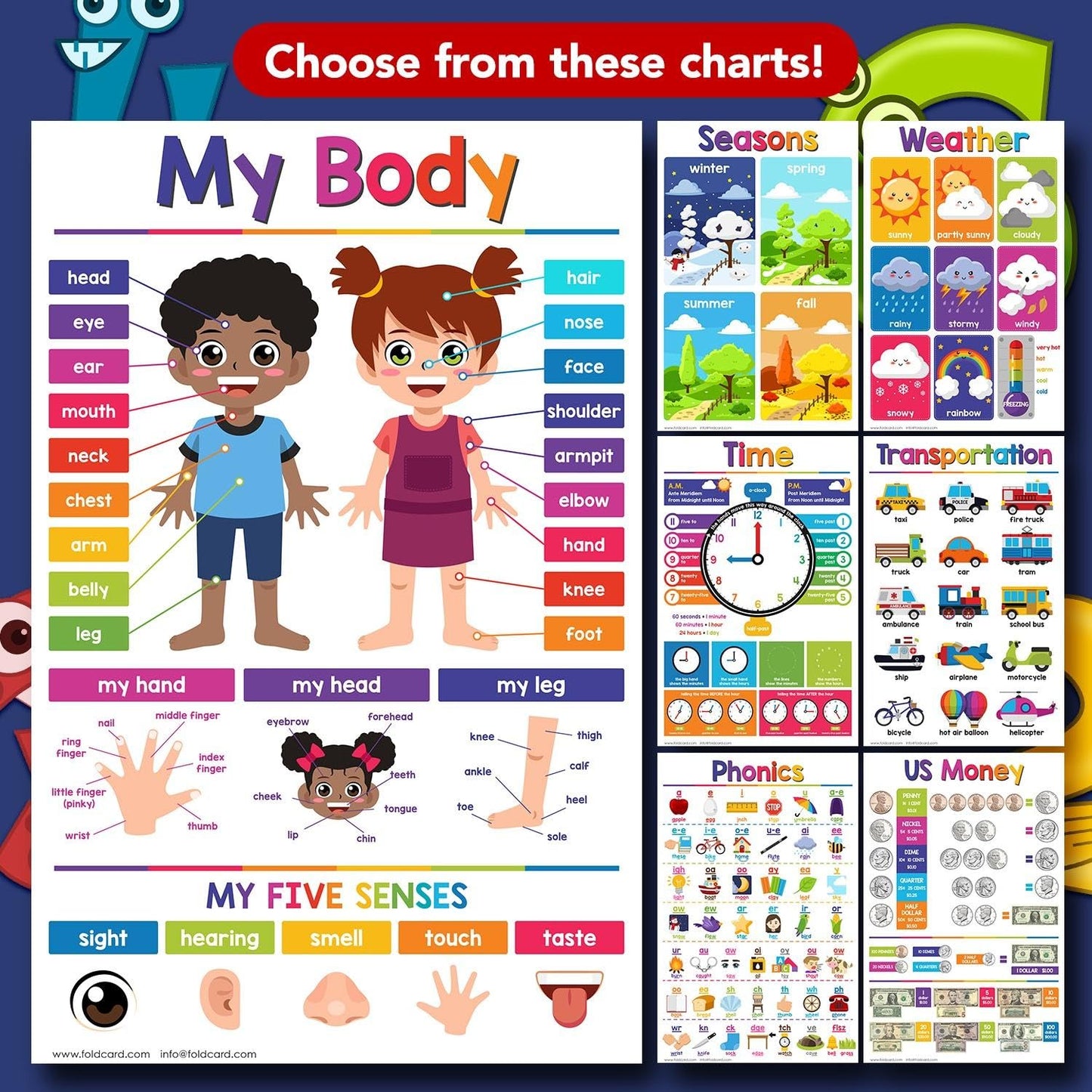 Farm Animals Educational Charts for Preschool to Gradeschool – Bright and Colorful Visual/Learning Aid Poster for Classroom or Home | Printed on Glossy Durable Cardstock | 11" x 17" | 5 per Pack