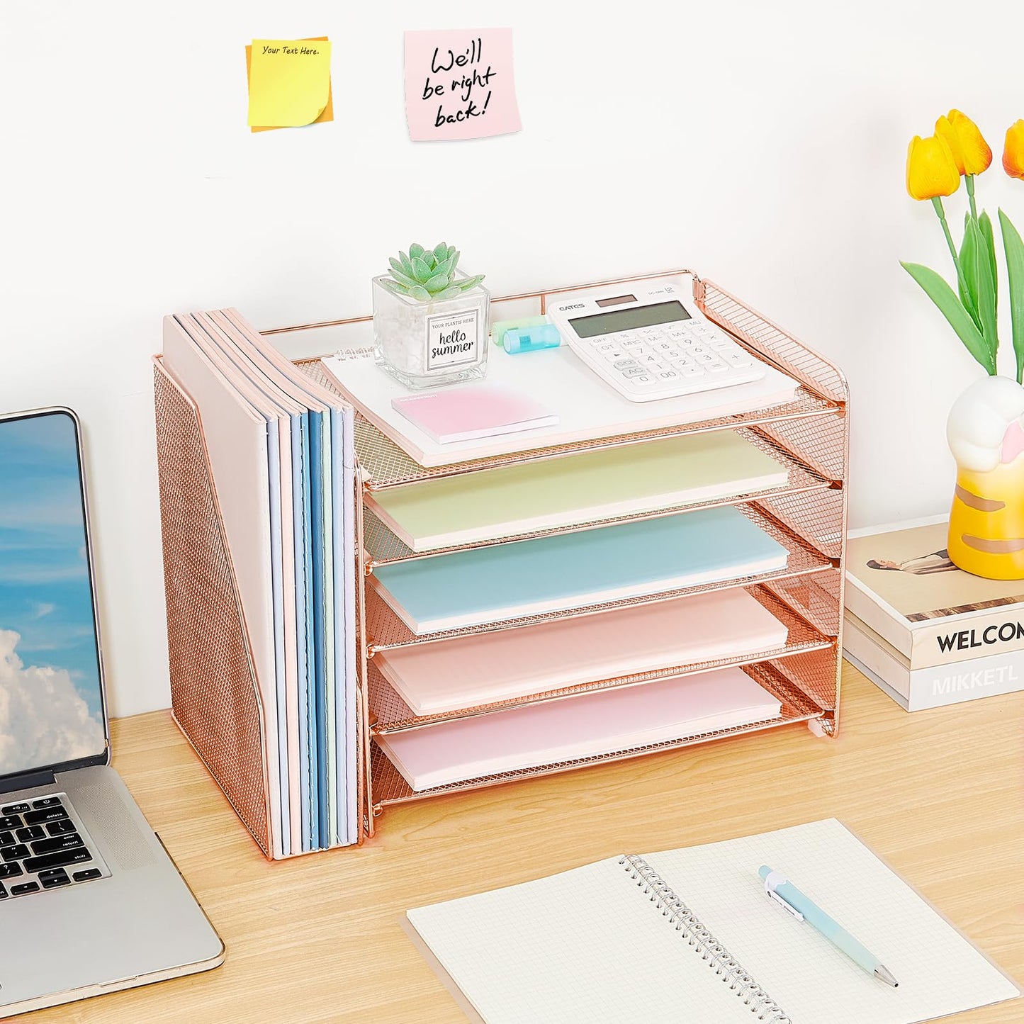 OPNICE Desk Organizer, 5-Tier Paper Organizer Letter Tray with Magazine Holder, Office Desk Accessories & Workspace Organizers, Desktop File Organizer for Office Supplies Storage, Rose Gold