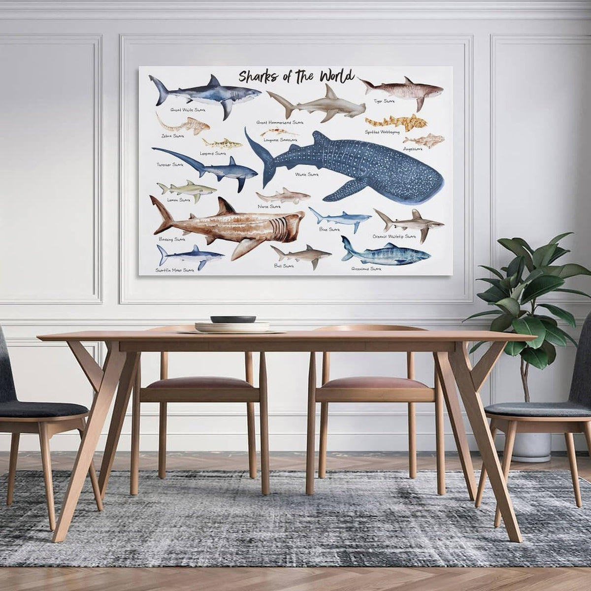CZOURPVU Types of Shark Poster Shark Educational Chart Poster16x24inch(40x60cm)