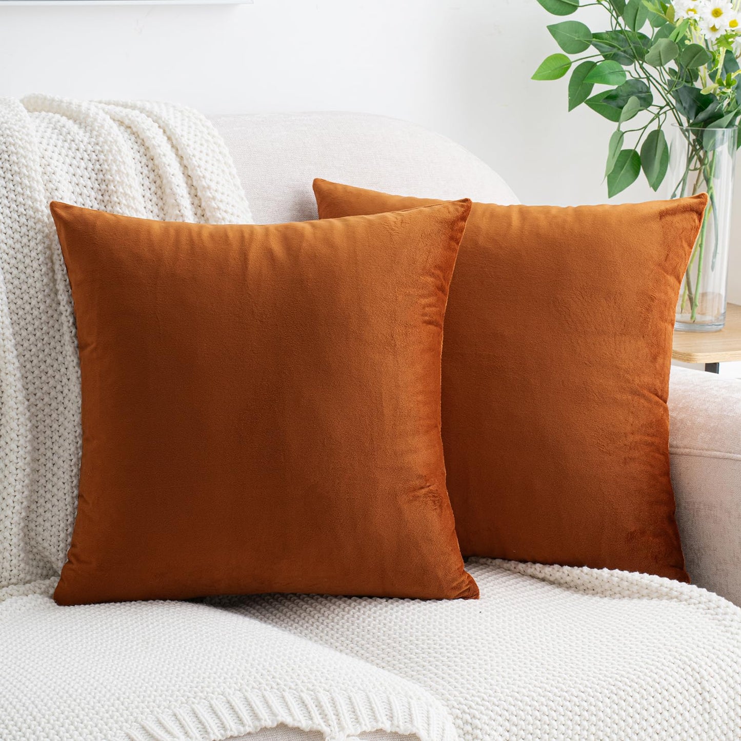 HWY 50 Burnt Orange Velvet Throw Pillow Covers 18x18 Inch, Pack of 2 Soft Cozy Solid Decorative Luxury Fall Cushion Cases for Couch Sofa Bed Living Room Bedroom