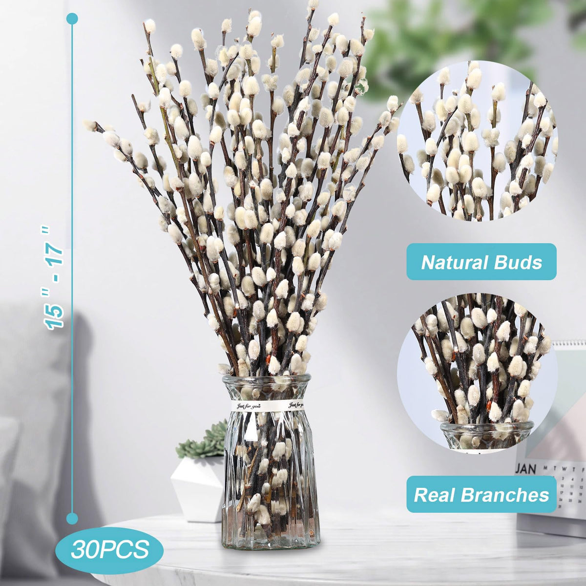 Natural Preserved Dried PussyWillow Branches for Vases, 30 Stems Real Willows, 17" Snow Pussywillows, Dried Flowers for Indoor and Outdoor Decor, Wedding Home DIY Floral Art Plants Fireplace