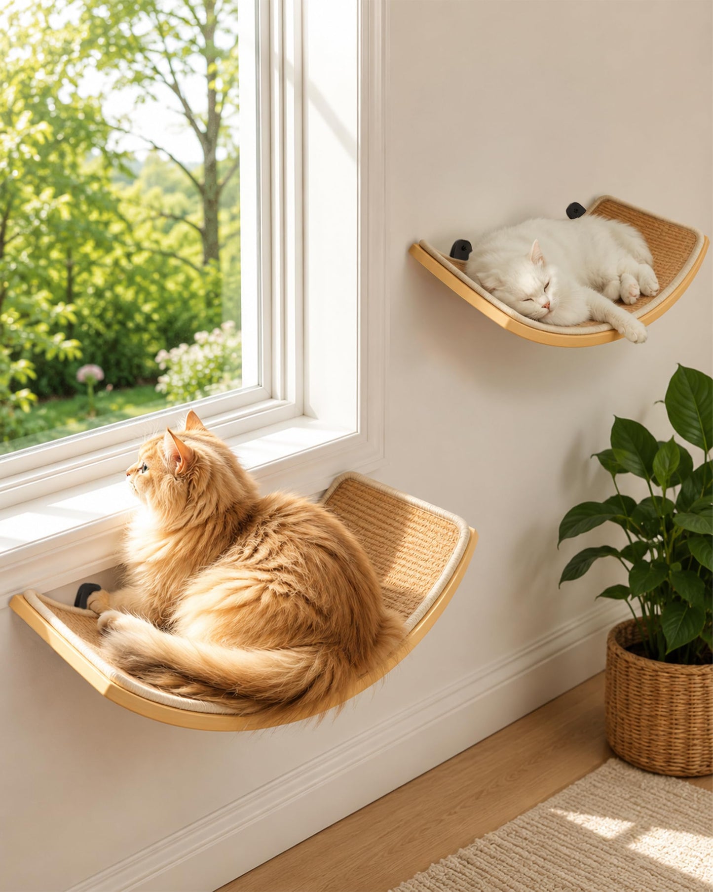 Curved Cat Wall Hammock with Scratchable Sisal Pad, Large Floating Cat Shelf for Wall, Wall Mounted Beige Bed for Playing, Climbing, and Sleeping