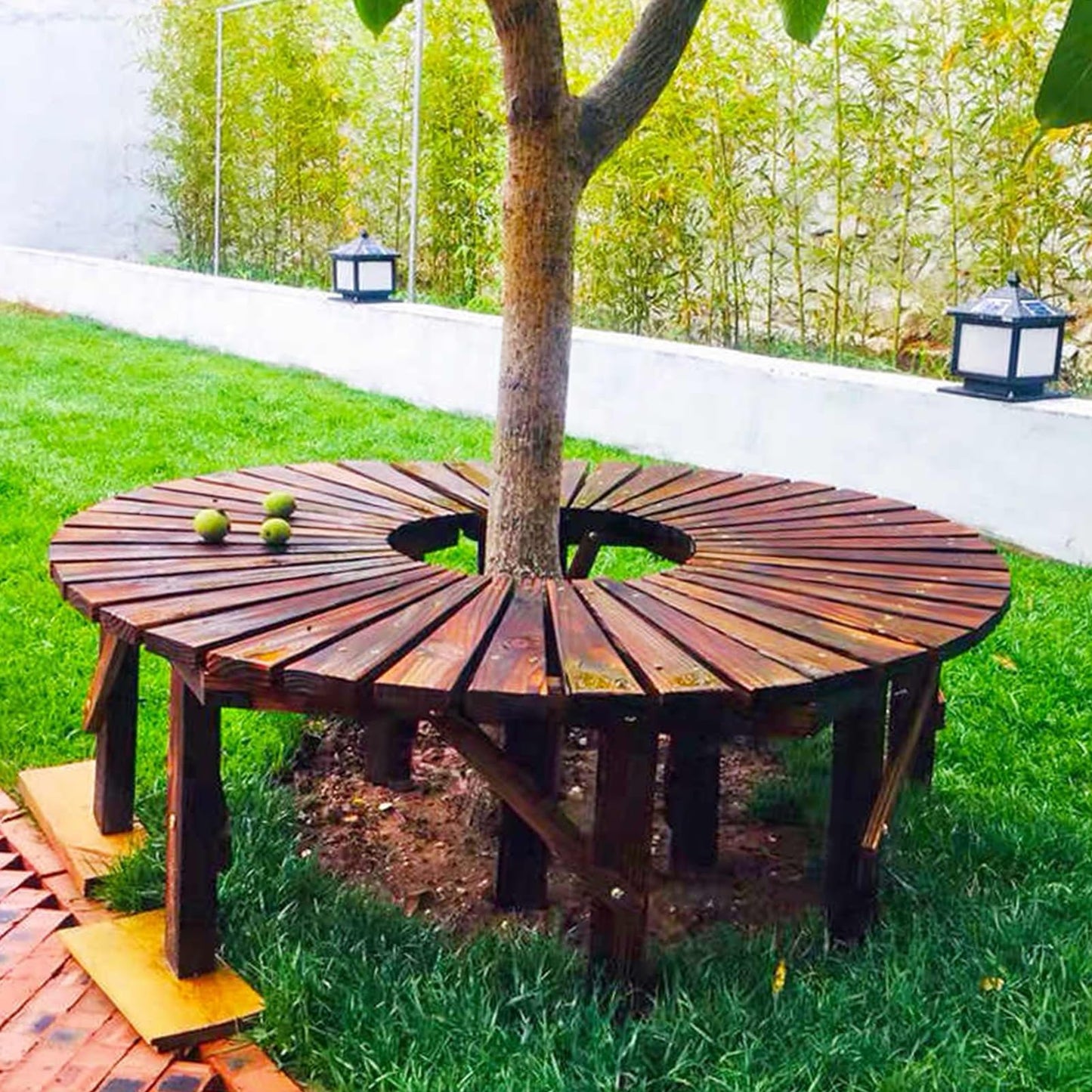 Curved Wooden Tree Bench Wrap Around - Unique Outdoor Seating for Lawn, Poolside & Backyard Decor (Benches Only)