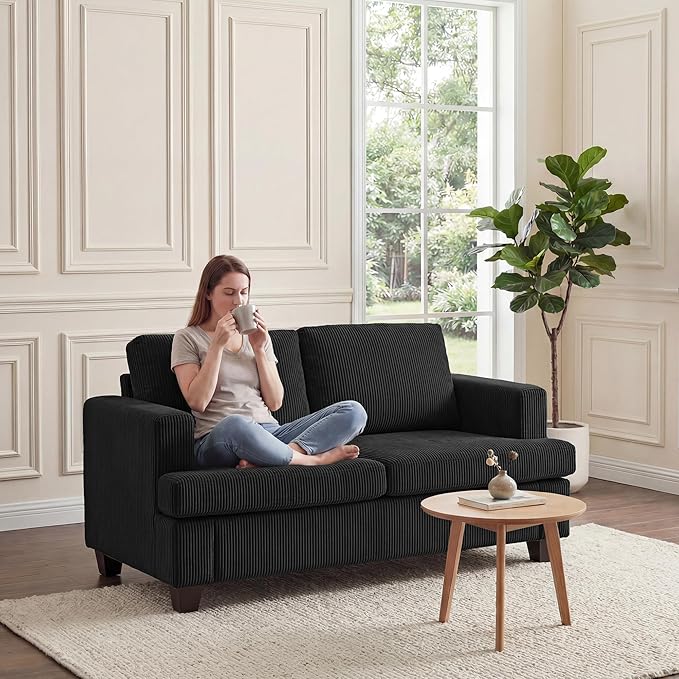 Apicizon Loveseat & 3 Seater Sofa Sets, 2 Piece Modern Sleeper Sofa