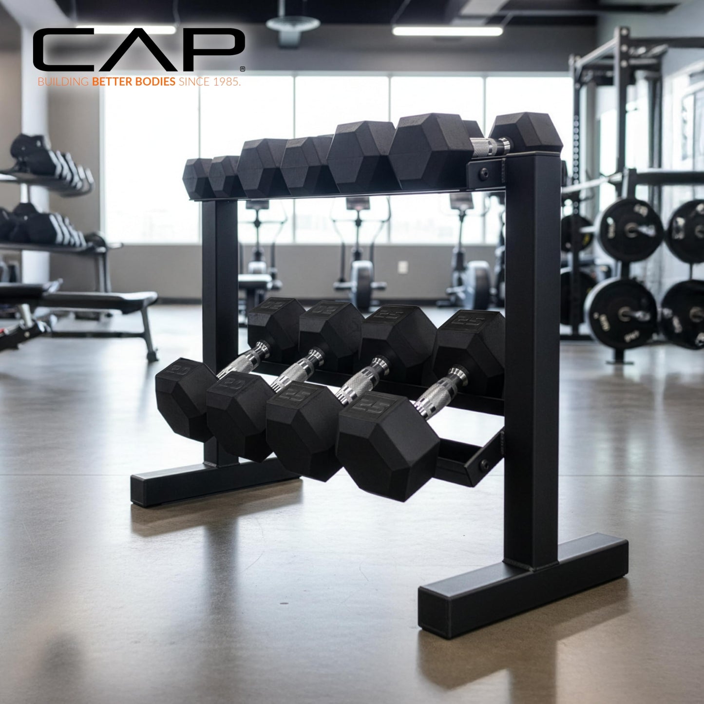 CAP Black 24-Inch Dumbbell Storage Rack for Home Gym, 2-Tier Heavy-Duty Steel Weight Rack for Hex Dumbbells, Holds 5lb - 25lb Pairs