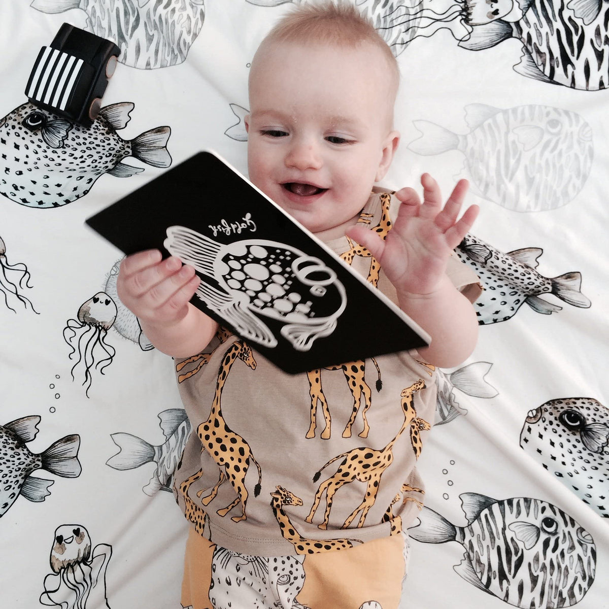 Wee Gallery High Contrast Baby Cards - Black and White Cards for Newborns, 6 to 12 Months Baby Flash Cards, Tummy Time and Visual Stimulation Art Cards - Ocean Animals