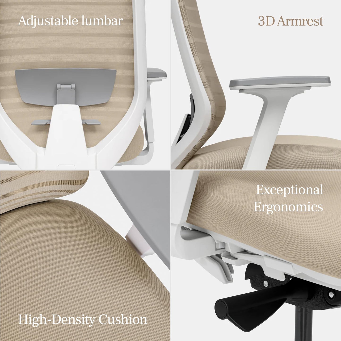 Branch Ergonomic Chair - A Versatile Desk Chair with Adjustable Lumbar Support, Breathable Mesh Backrest, and Smooth Wheels - Experience Optimal Comfort and Support - Poppy