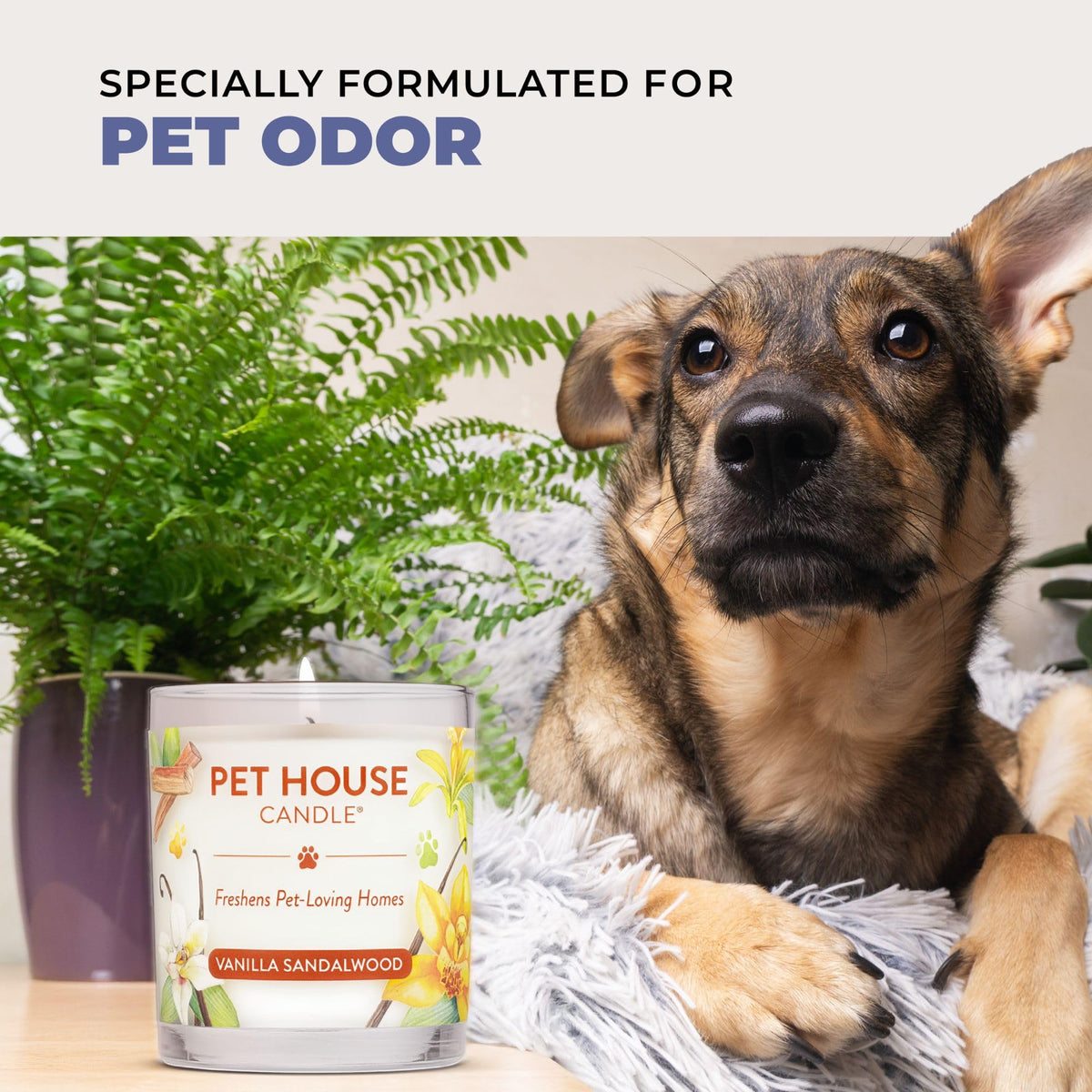 Pet House Candles Plant Based Cookie Scented Candle Clean Burning, Long Lasting for Home, Snowfall
