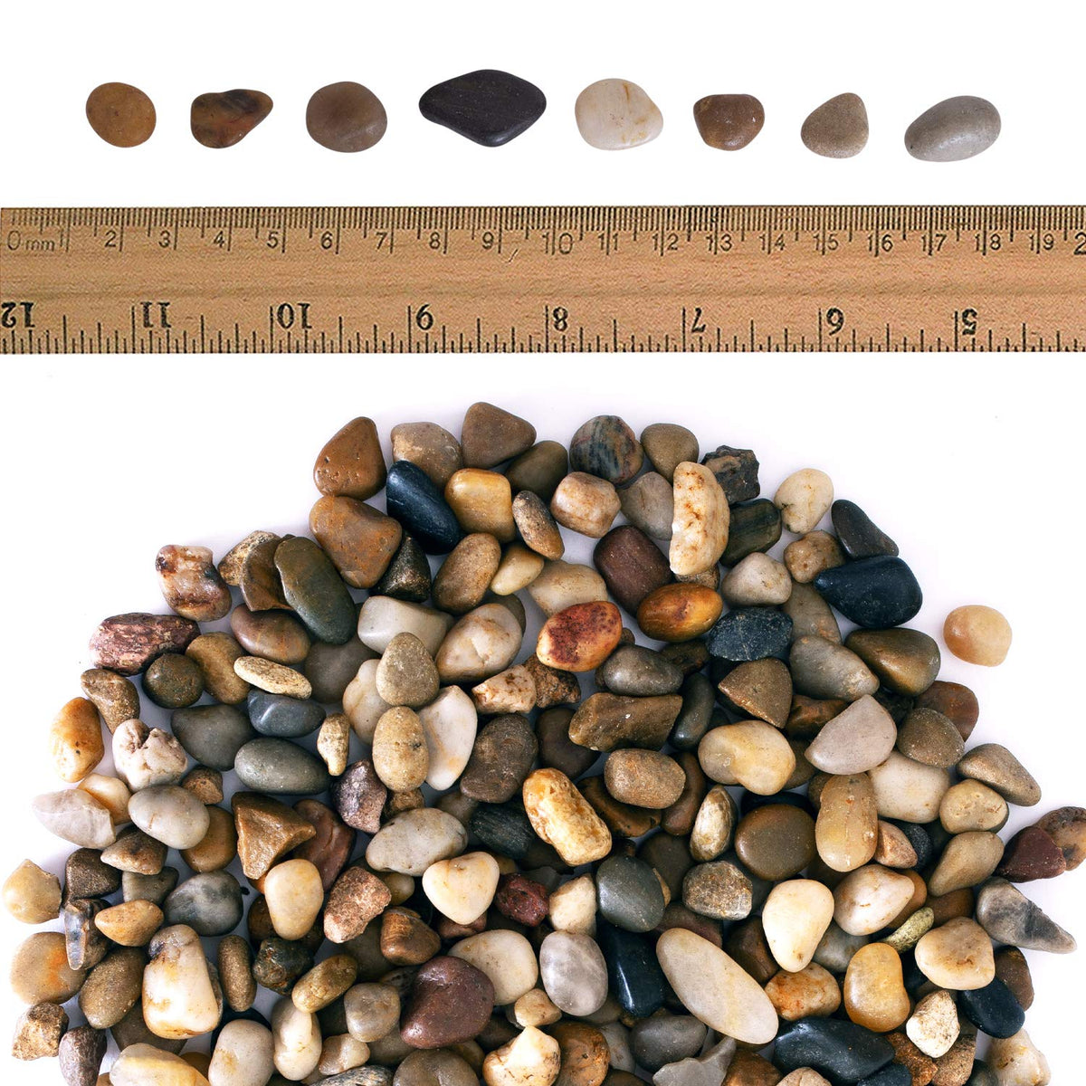 2 lbs Approx. 200 River Rocks Stones for Plants Pebbles for Indoor Plants | Aquarium Fish Tank Rocks | Polished Decorative Rocks for Vases (0.3-0.6 Inches)