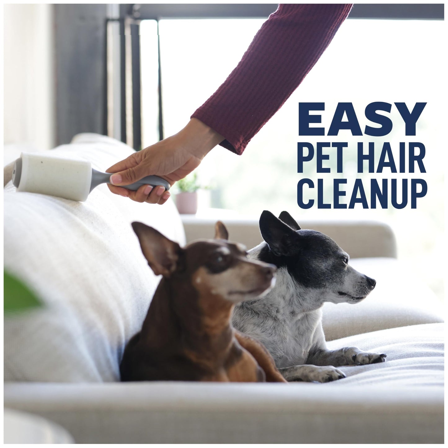 Scotch-Brite Everyday Clean Lint Roller, Lint Remover for Pet Hair, Dark Clothes, Furniture, and Dusty Surfaces, Picks Up Fur & Fluff in Your Home, Car, & Office, 5 Pack, 475 Adhesive Sheets Total