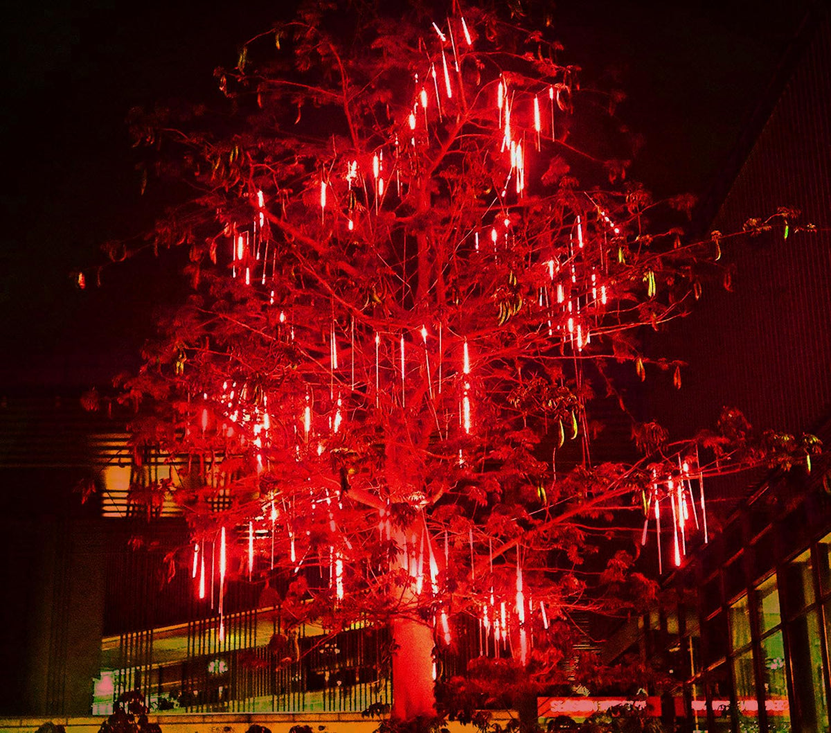 Roytong Christmas Red Meteor Shower Lights Outdoor - 12 Inch 10 Tube 360 LED High Brightness Falling Rain Icicle Cascading Lights for Xmas Halloween Tree Eaves Patio Decor (Can Connect 100 Sets)