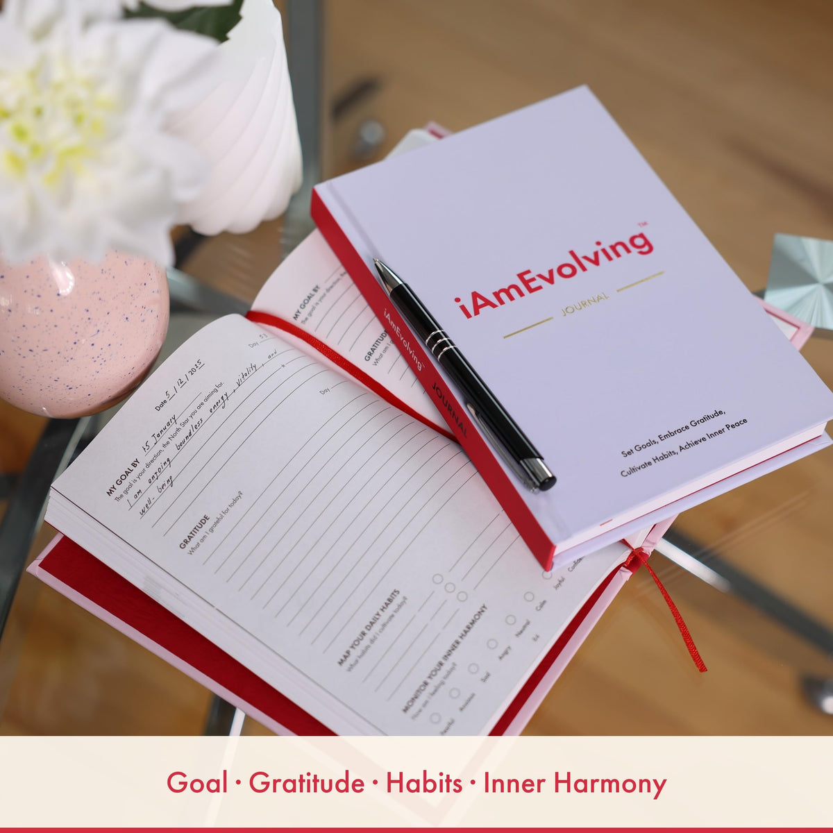 Daily Gratitude, Goal Setting & Habit Tracker Journal for Women & Men with 9-Point Emotional Wellness Scale — iAmEvolving™ 288-Page Hardcover Personal Growth Planner (Columbia Blue Cover)
