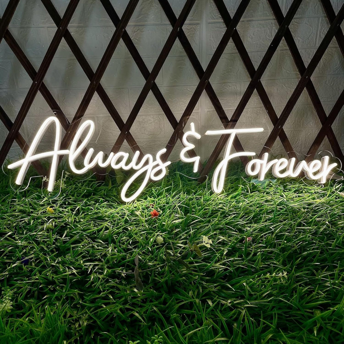 Always and Forever Letter LED Neon Sign for Lovers，Friends, Family Aesthetic Neon Light Signs,USB Powered LED signs, Wall Lights for Wedding,Anniversaries, Club ,Hotel ,Birthday Party Wall Hanging Decoration(20in)