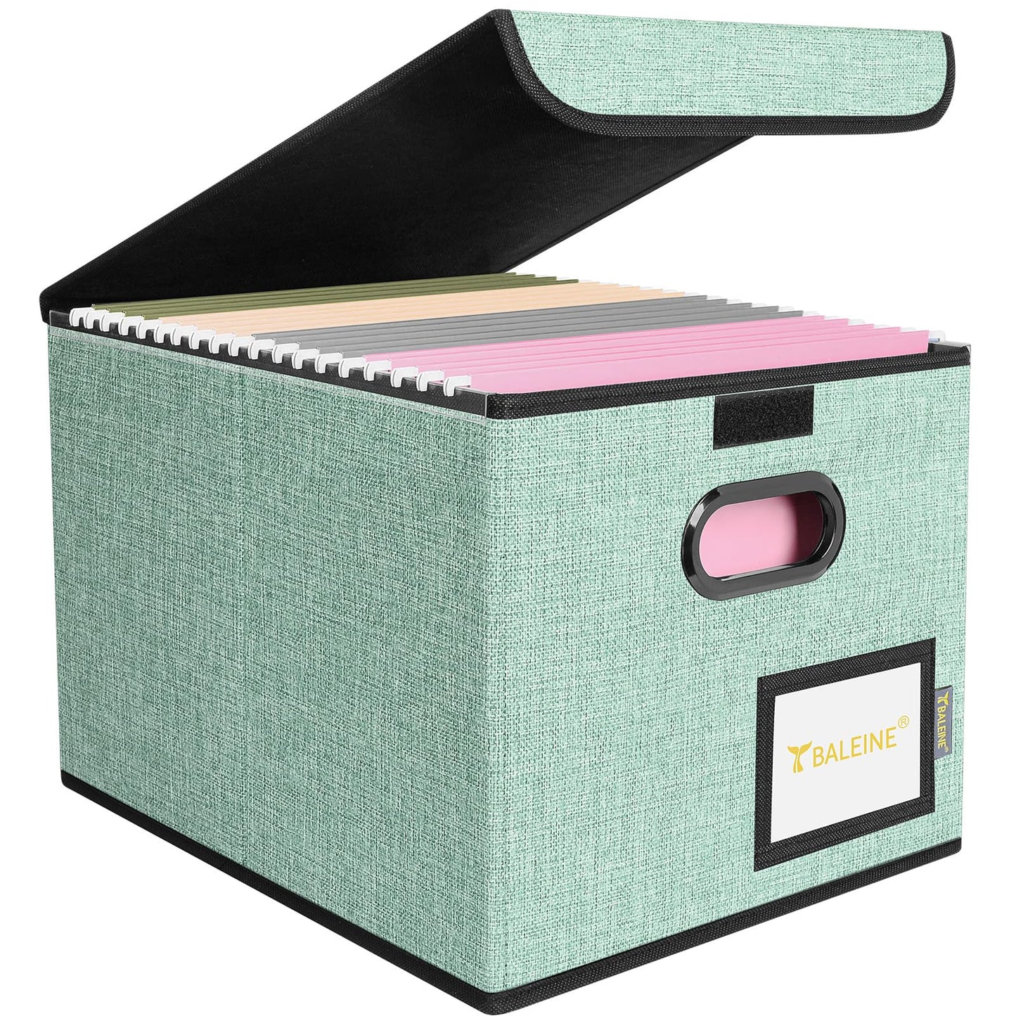 BALEINE File Organizer Box with Lid, Collapsible File Folder Organizer with Plastic Slide, Hanging File Folder Box for Office Document Storage (1 Pack, Green)