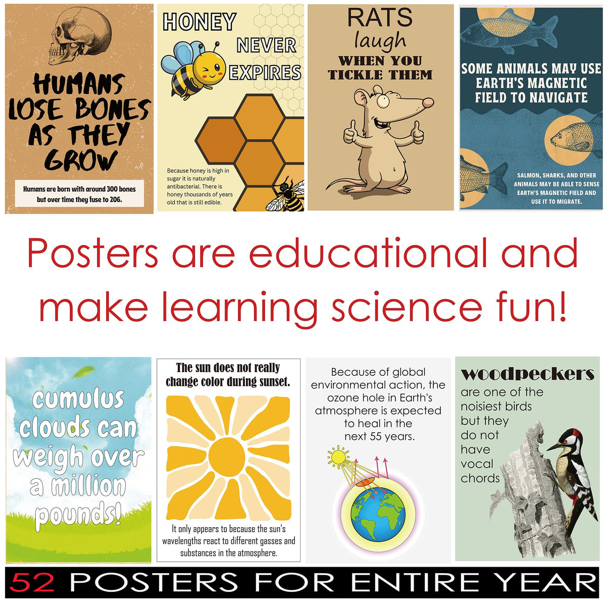 Magictodoor Weird Science Funny Fact Posters - 52 Classroom Decor Set for Bulletin Board & STEM Education