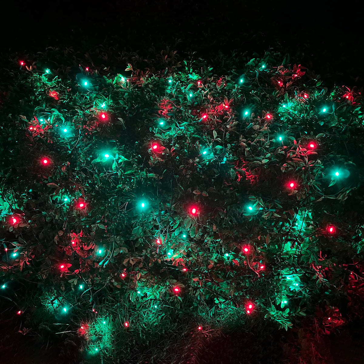 HISHINY LED Christmas Net Lights Outdoor, 5ftx5ft 100LED Green Wire, Connectable Bush Mesh Net Lights String for Halloween Christmas Party,Shrub,Yard,Tree（Red&Green）