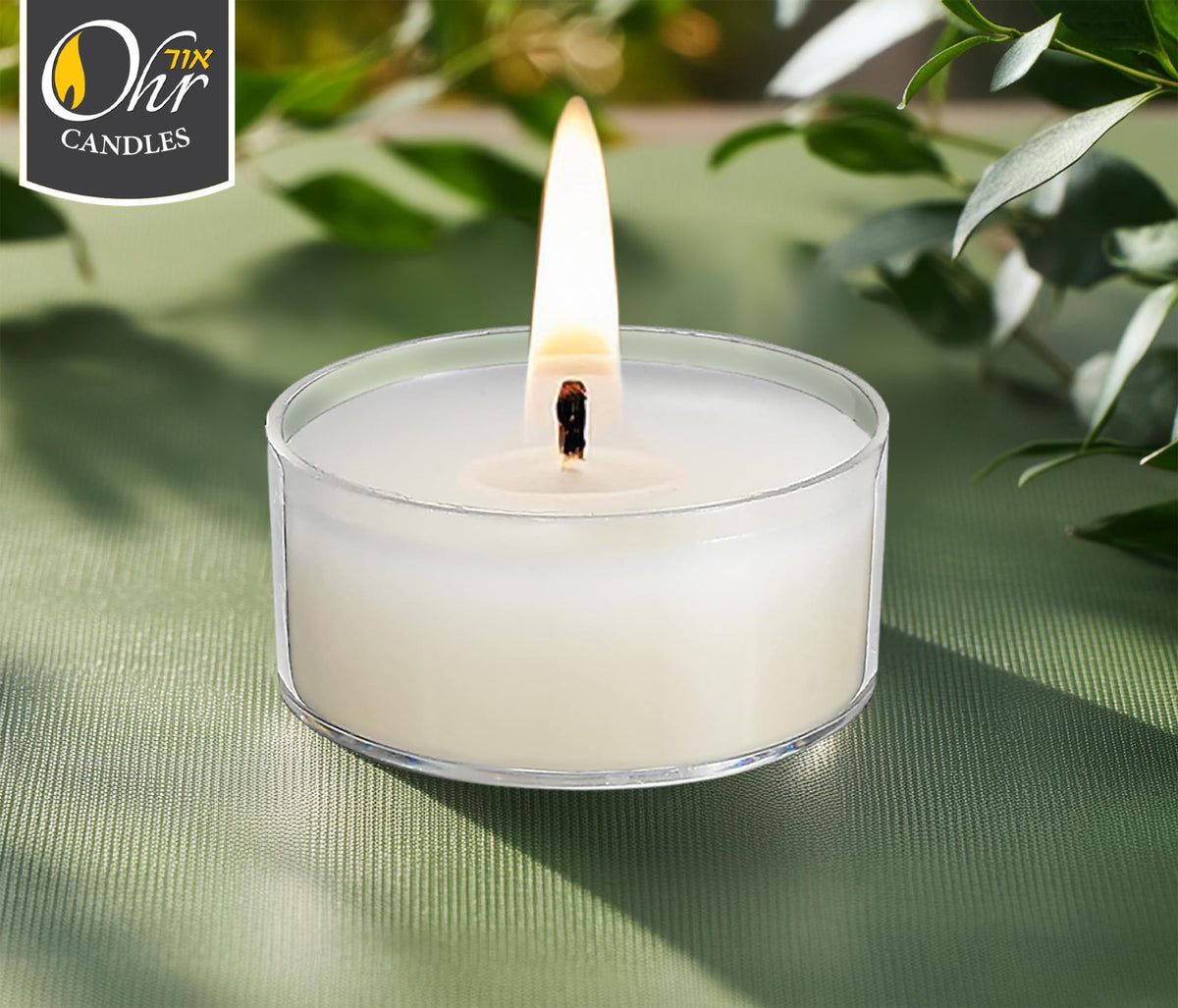 Ohr Tealight Candles in Clear Cup - 50 Pack Bulk Tea Lights Candles - White Tealights Unscented - 4 Hour Burn Time