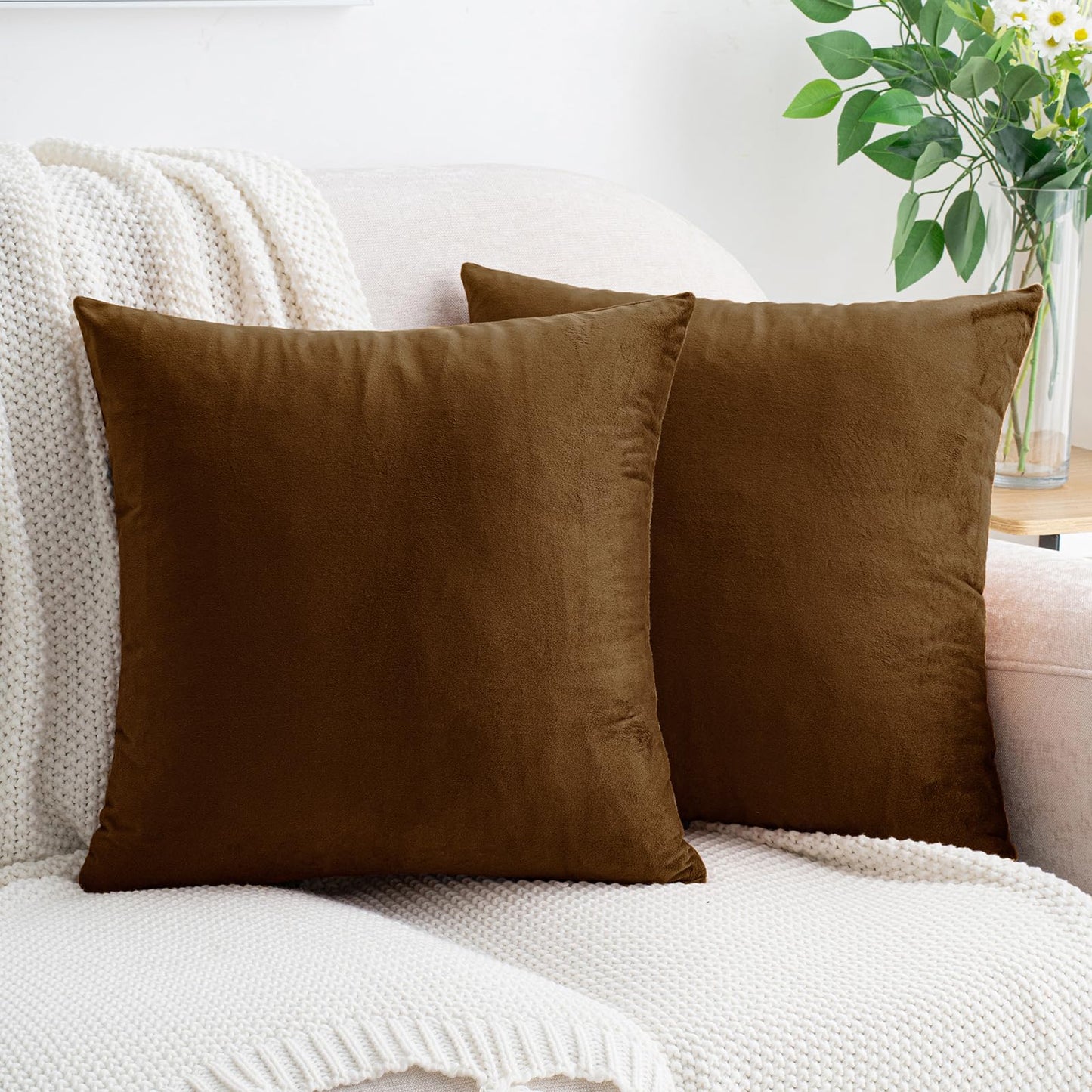 HWY 50 Coffee Velvet Throw Pillow Covers 16x16 Inch, Pack of 2 Soft Cozy Solid Decorative Luxury Cushion Cases for Couch Sofa Bed Living Room Bedroom