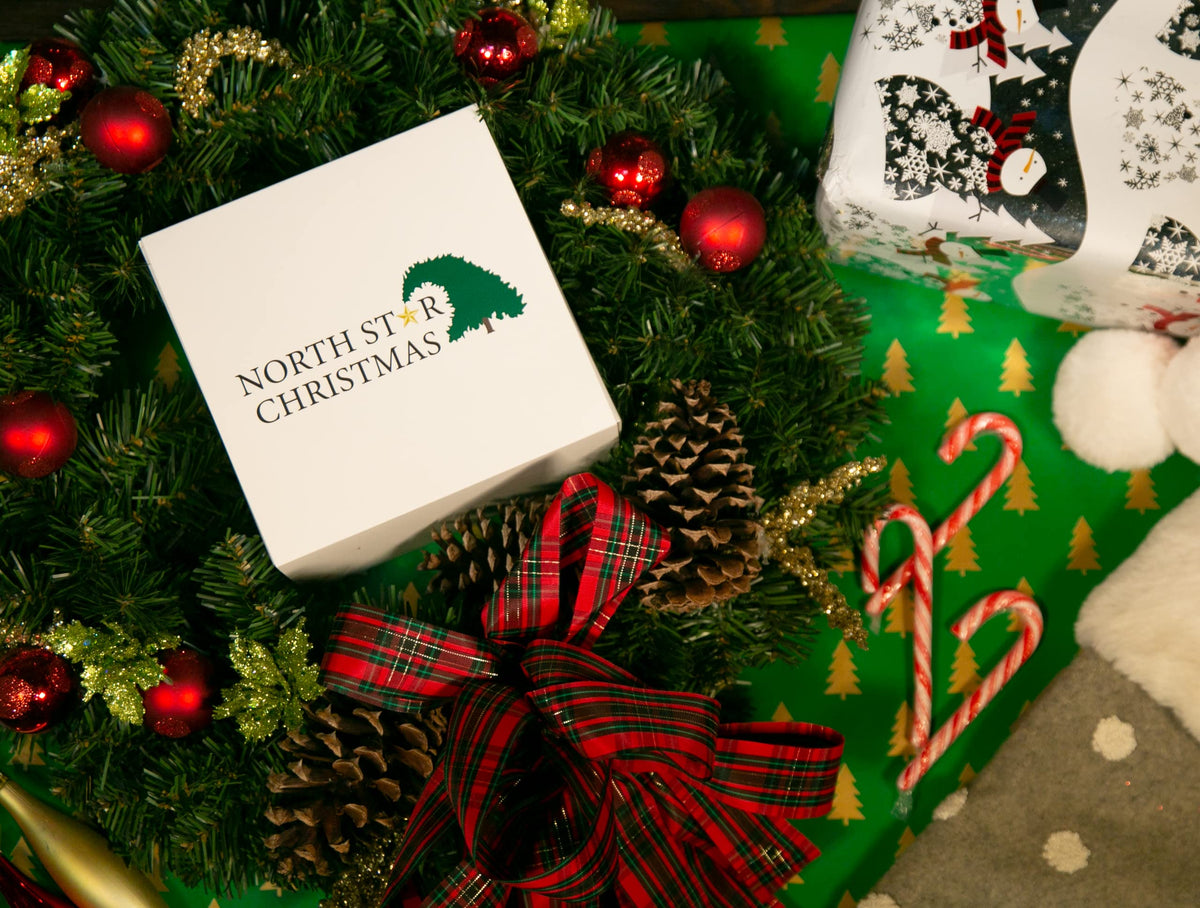 North Star Christmas | Lizard on Candycane Glass Ornament | Christmas Collection