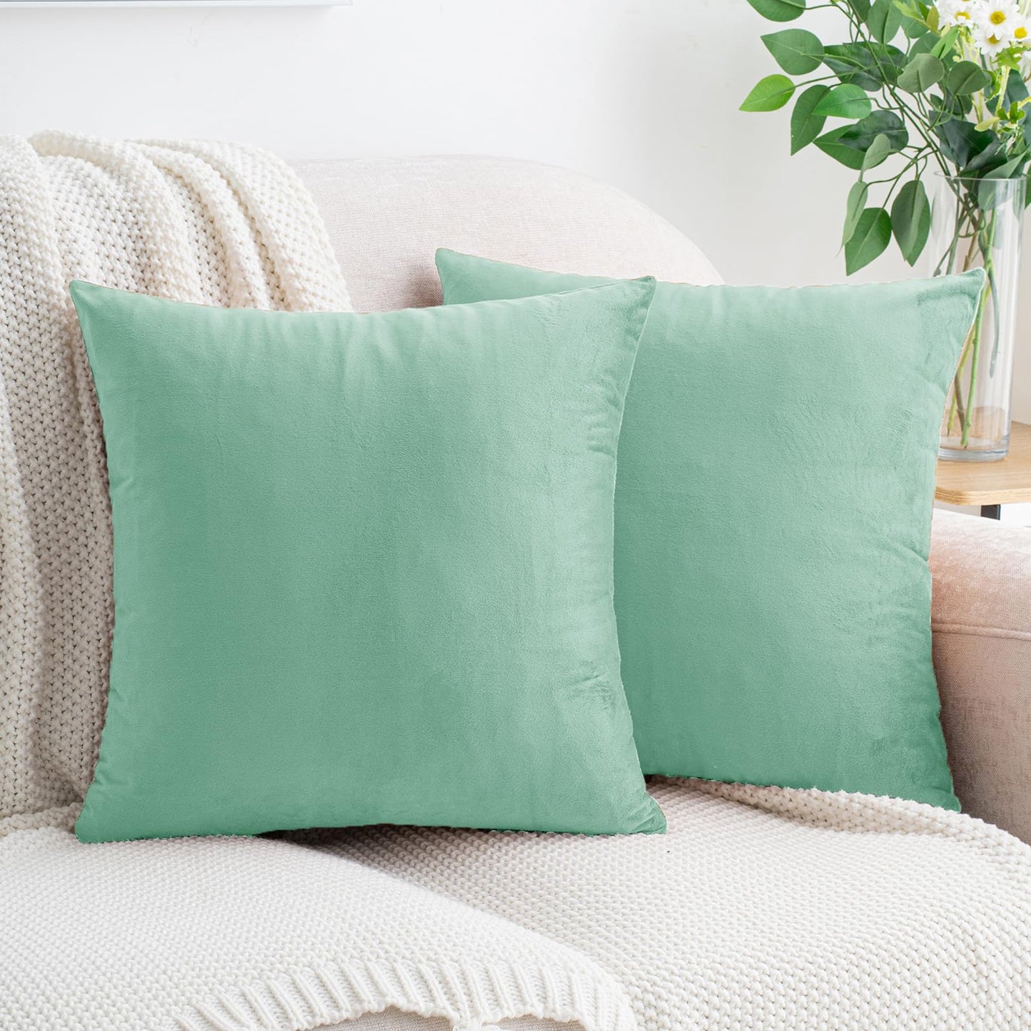 HWY 50 Aqua Green Velvet Throw Pillow Covers 18x18 Inch, Pack of 2 Soft Cozy Solid Decorative Luxury Cushion Cases for Couch Sofa Bed Living Room Bedroom