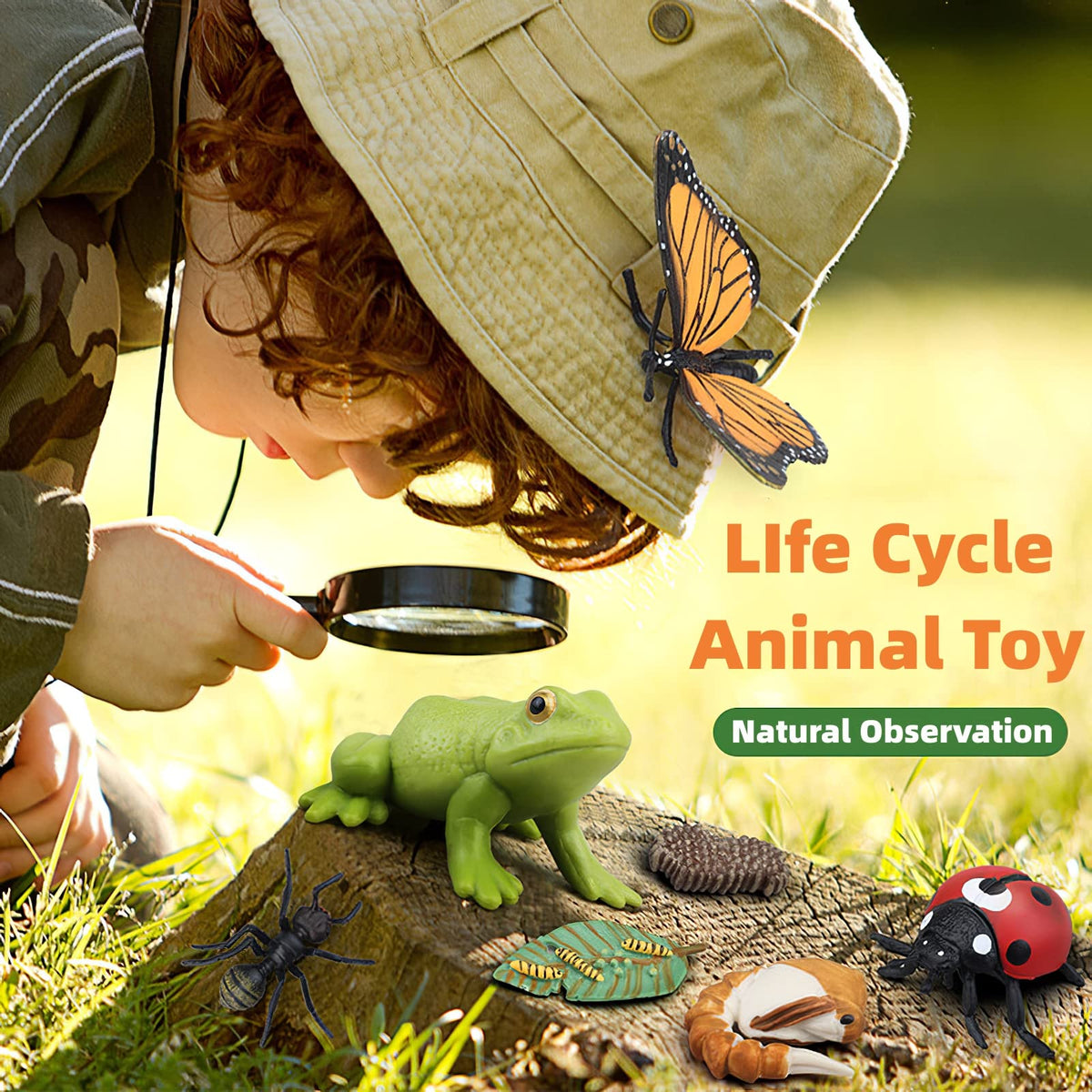 MIKNEKE Montessori Frog Life Cycle with Flash Cards, Plastic Insects Tadpole to Frog Kit Toy, Realistic Animal Figurines