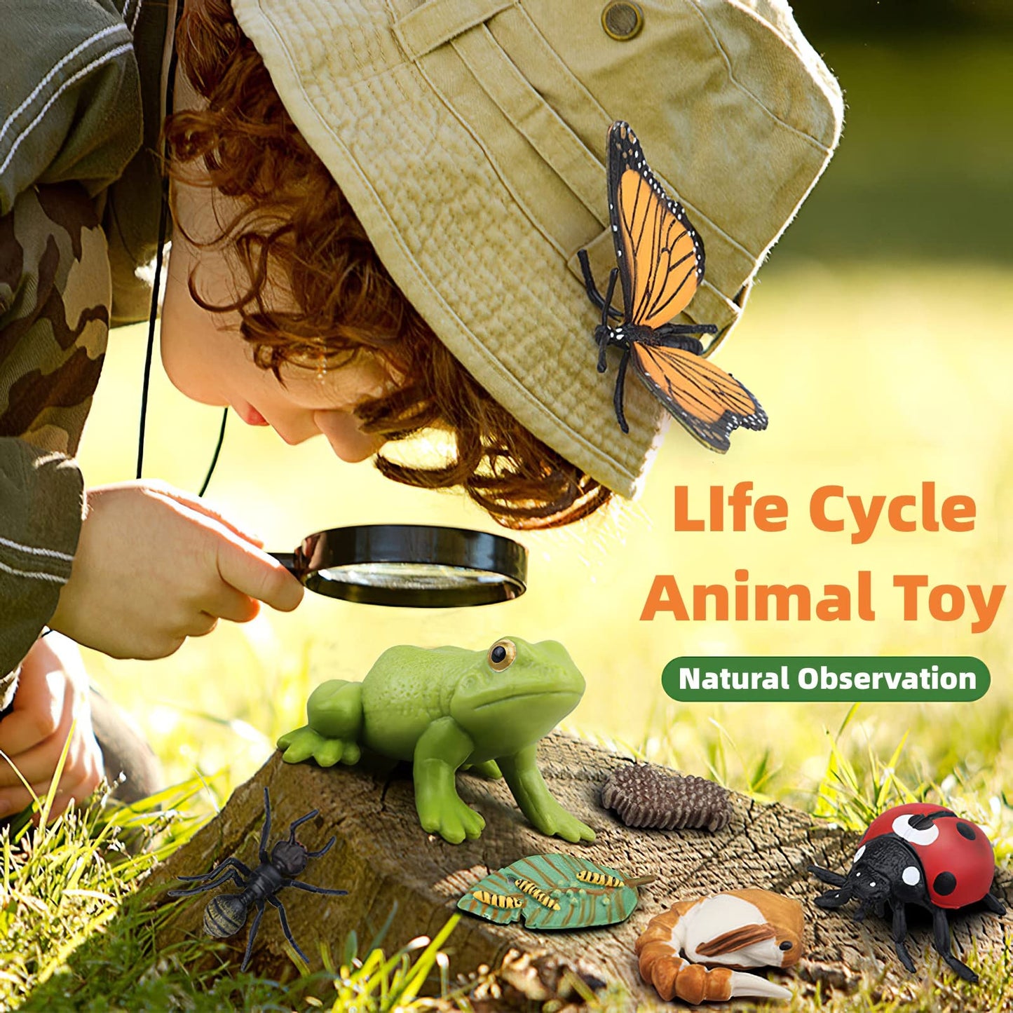 MIKNEKE Montessori Bee Life Cycle with Flash Cards, Realistic Animal Figurines Toy, Animal Educational Matching Game for 3+ Year Old Toddlers Kids (Bee)