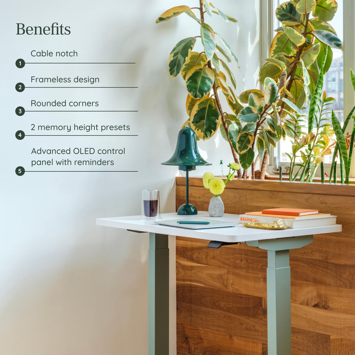 Branch Duo Standing Desk 36 Inches - Adjustable Standing Desk with 20” Range - OLED Control Panel - Frameless Design & Compact Size Suitable for Many Spaces - White Base - Walnut Top