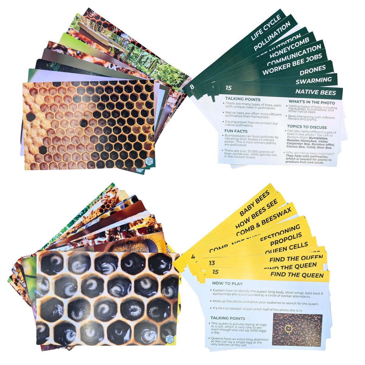 Educational Beekeeping Cards – 12x18 Oversized Beekeeping Flashcards for Teaching Bees and Beekeeping - Classroom and Workshop Learning Tool (Basic Set - Laminated)