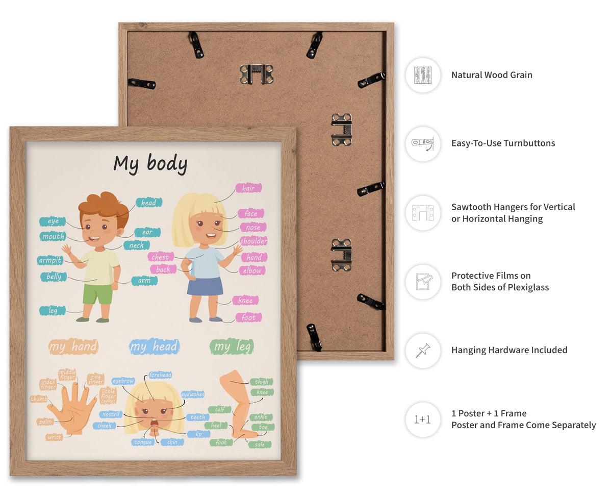 Poster Master My Body Poster - Body Parts Print - Learning Materials Art - Educational Art - Gift for Kids, Students & Teacher - Wall Decor for Playroom, Classroom or Library, 11x14 Beige Framed