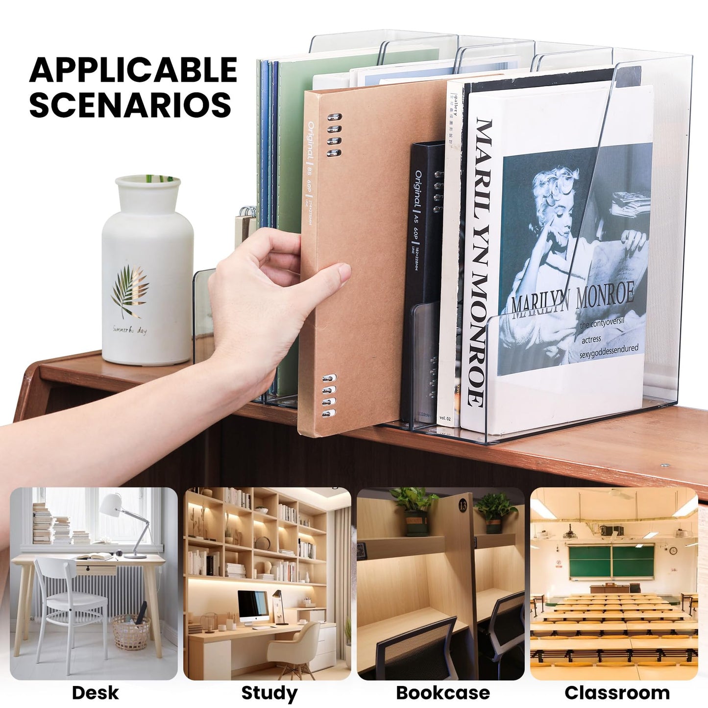 LALOBLUE Vertical Magazine File Holder, Clear, 4 Pack