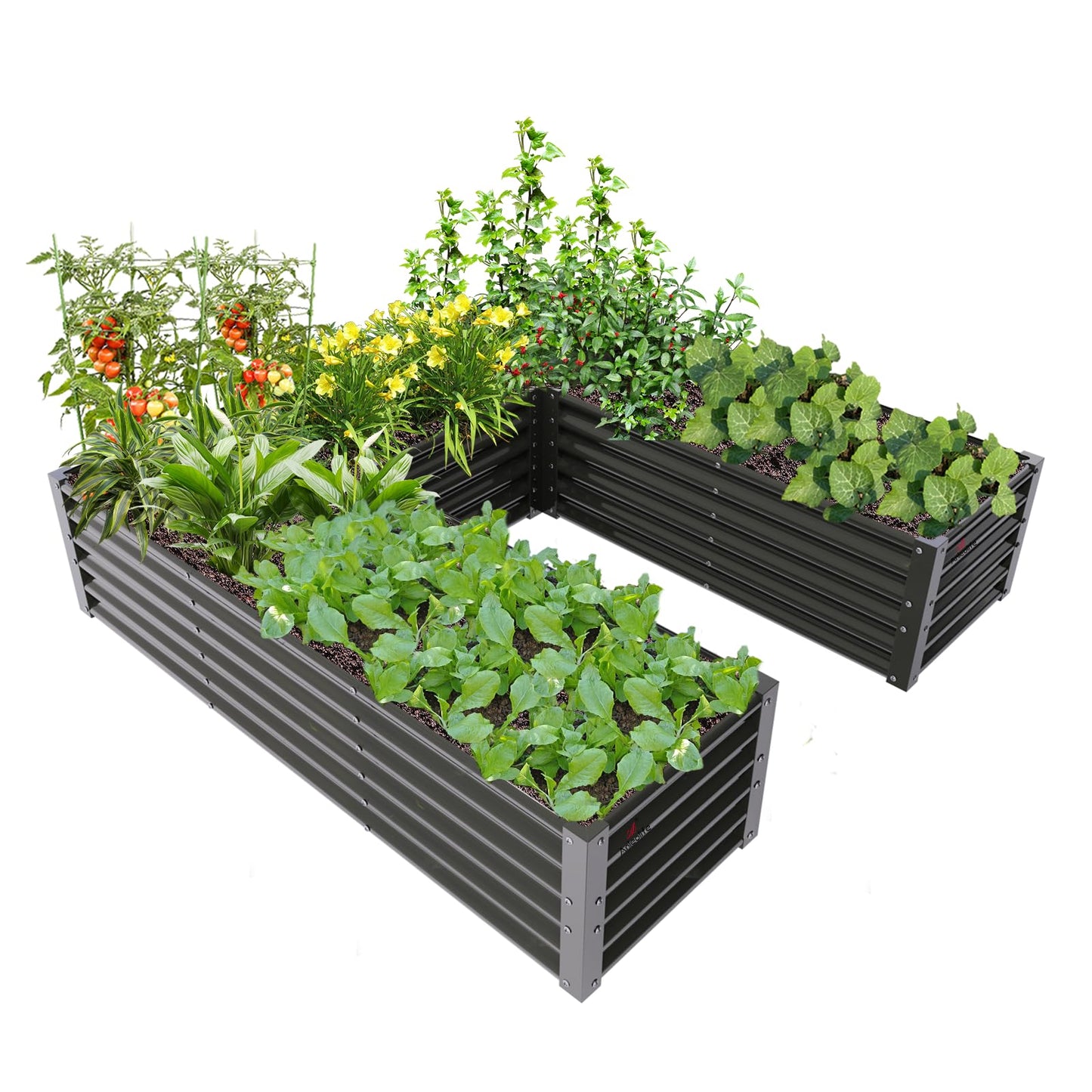A ANLEOLIFE U-Shaped Outdoor Galvanized Raised Garden Bed, 6x6x1.5ft, Center-Access Bottomless Planter Box, 22-Gauge Corrugated Metal, Reinforced Bracing Rods, Quartz Grey