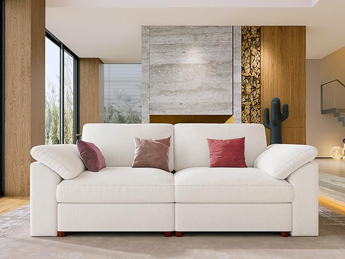 EASE MOOSE Modern Loveseat Sofa
