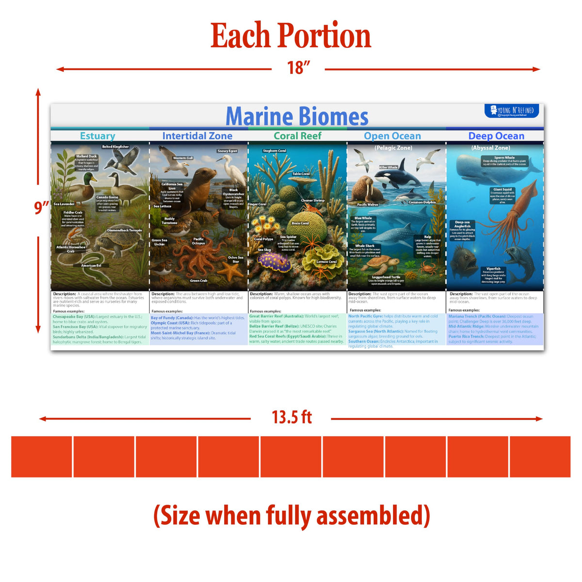 Earths Habitats ecosystem Line bulletin board set, 9 charts pack Glossy Paper (9"x18") Young N Refined