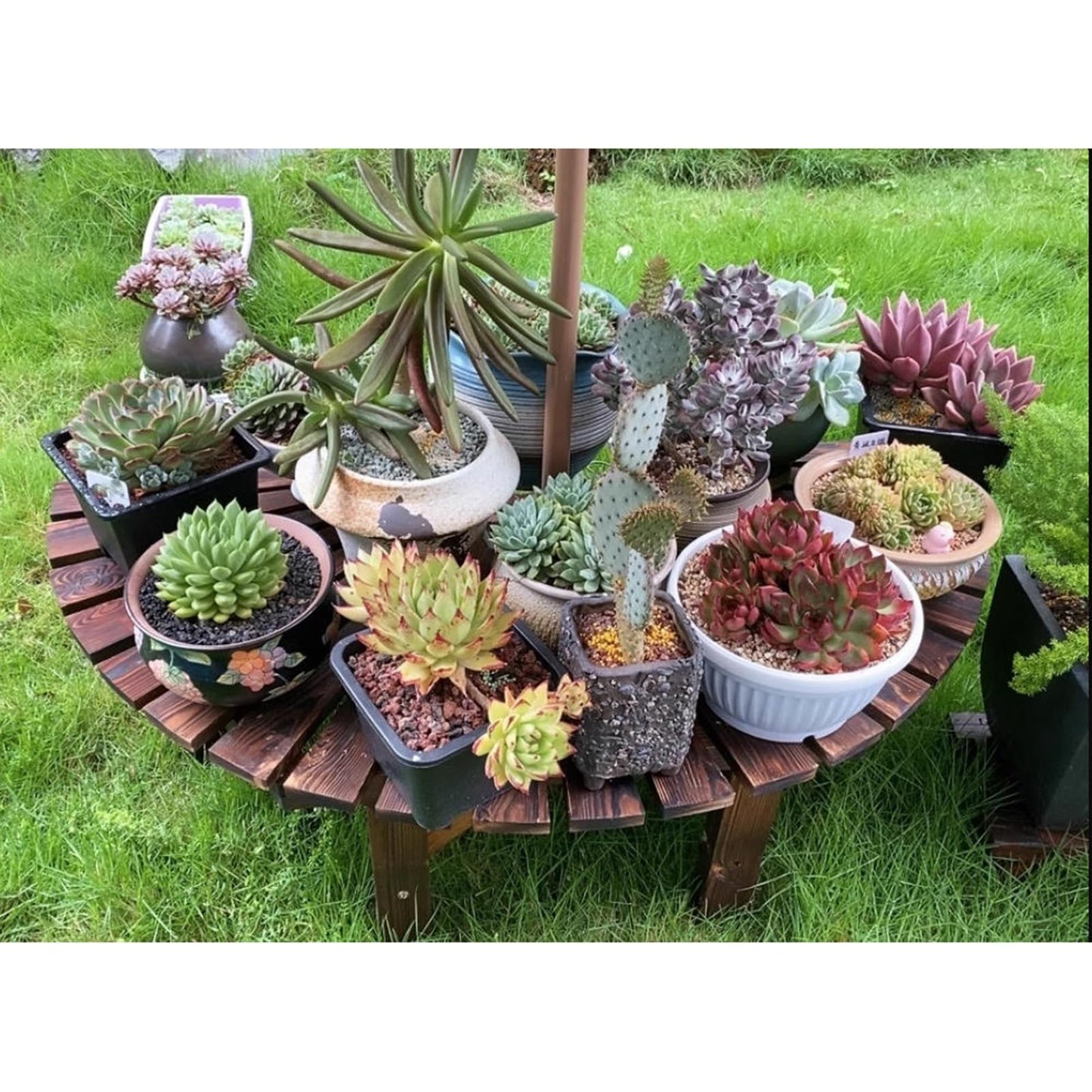 Curved Wooden Tree Bench - 400kg Load Capacity Outdoor Seating for Patio, Yard, Lawn & Poolside - Ideal for Backyards & Courtyards