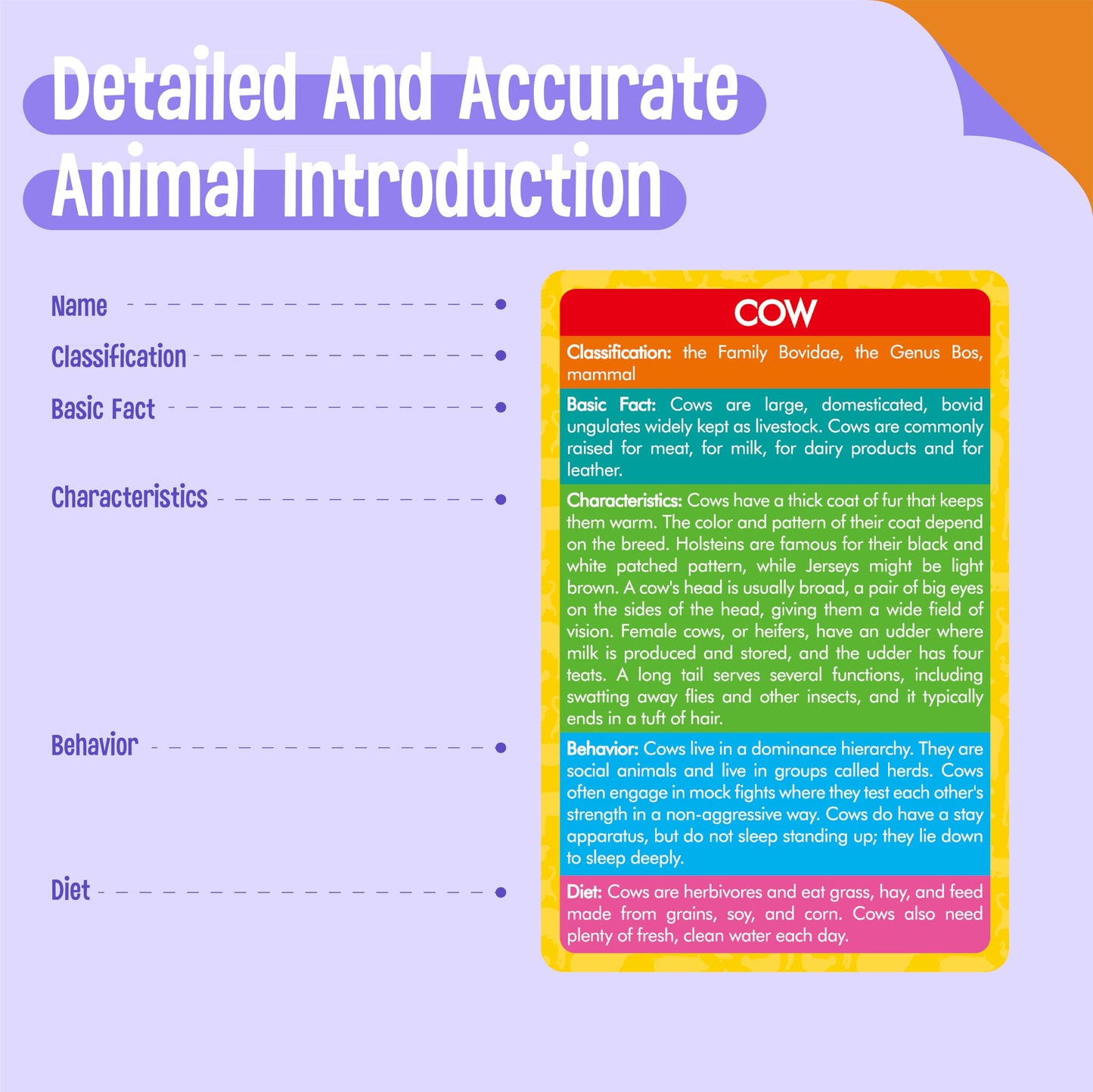 12 PCS Farm Animal Figurines with 12 Introducing Flashcards, Realistic Farm Animals Playset Montessori Toys Science Educational Matching Game for Homeschool Preschool Toddler Kids