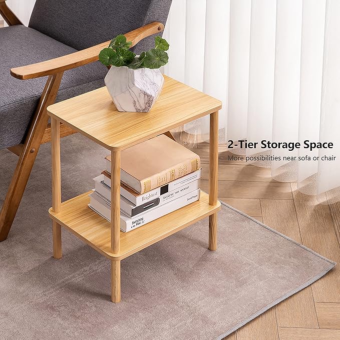 Apicizon 2 Tier End Table, Small Side Table