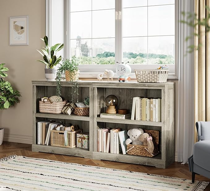 LINSY HOME 2-Tier Bookcase and Bookshelf, Small Wood Display Storage Shelves