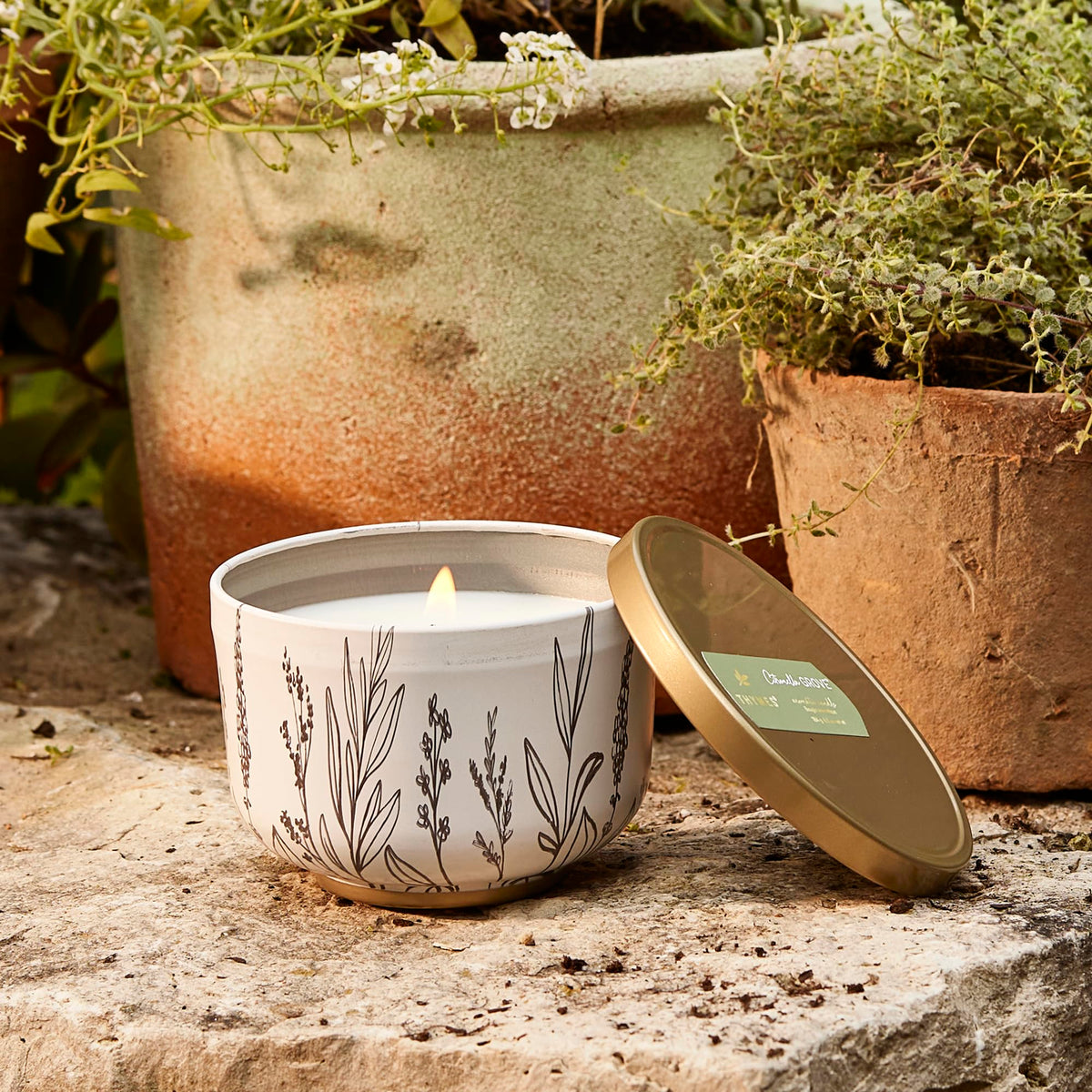 Thymes Scented Candles for Women & Men – Tin with Lid – Luxury Home Decor – Citronella Candles with Notes of Olive Leaf, Lemongrass, & Gardenia – Outdoor Decor (Citronella Grove, 6.5 oz)