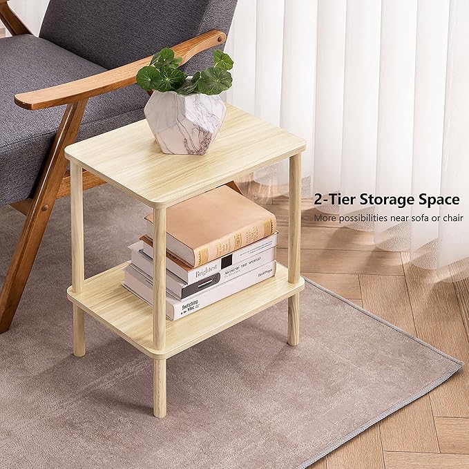 Apicizon 2 Tier End Table Set of 2, Small Side Table