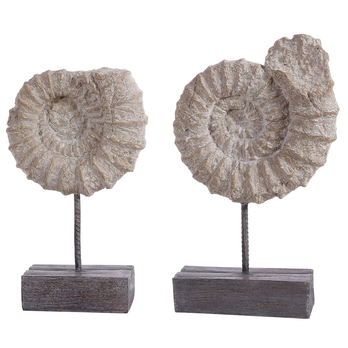 SAFAVIEH Home Collection Toren Nautical Ammonite Shell Table Decor (Set of 2) RDC1208A-SET2, Black/White