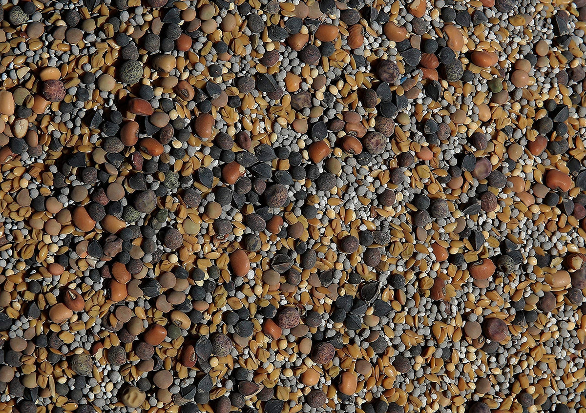 No-Till Cover Crop 13-Seed Mix (½-lb): [50% Clovers Plus Fenugreek, Vetch, Flax, Cowpeas, Buckwheat, Forage Peas, Millet, Lentils, Crimson Clover, Sweet Yellow Clover, White Clover, Medium Red Clover]