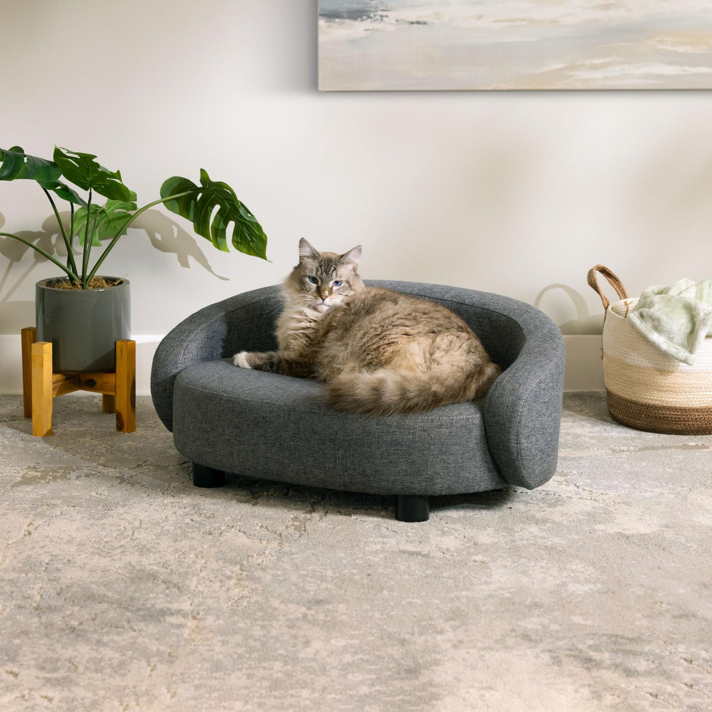 Paws & Purrs Arc Crescent Back Sofa Style Pet Bed, Dog & Cat Modern Couch with Tufted Cushion & Armrest, Stylish Indoor Pet Furniture, Dark Gray