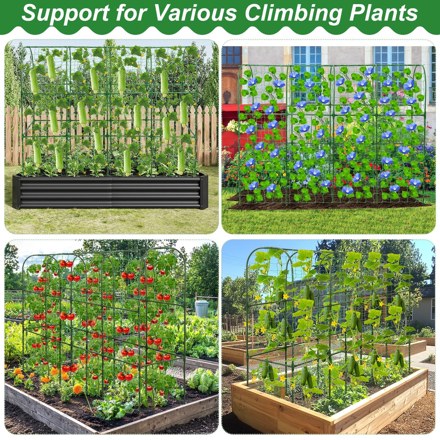 67 x 50 Cucumber Trellis for Raised Bed, U-Shape Metal Large Garden Trellis for Climbing Plants Outdoors with Netting, Garden Tools, Cucumber Arch Trellis for Vegetable Fruit Flower Plant Support