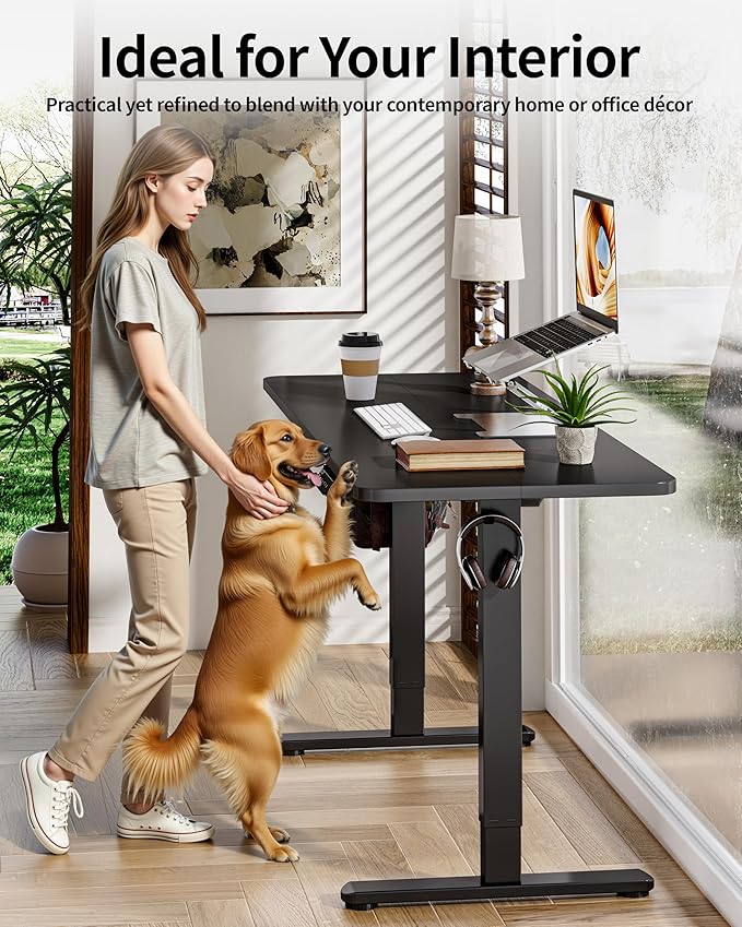BIZUM Electric Standing Desk 60 x 24 Inch Computer Desk-Gaming Desk Black Home