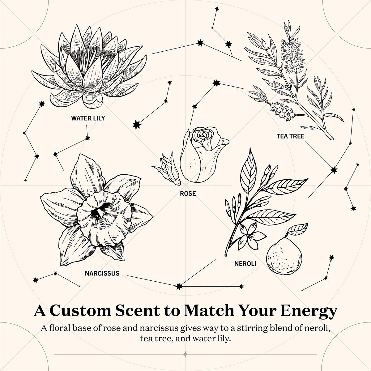 Birthdate Candles, December 1 - Sagittarius Zodiac Scented Candles Birthday Gift - Rose, Neroli & Water Lily Scent - All-Natural Soy & Coconut Wax, 60-80 Hour Burn Time - Made in USA