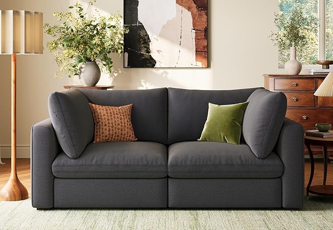 LINSY HOME Modern 2-Seater Sofa, Customizable Living Room Furniture