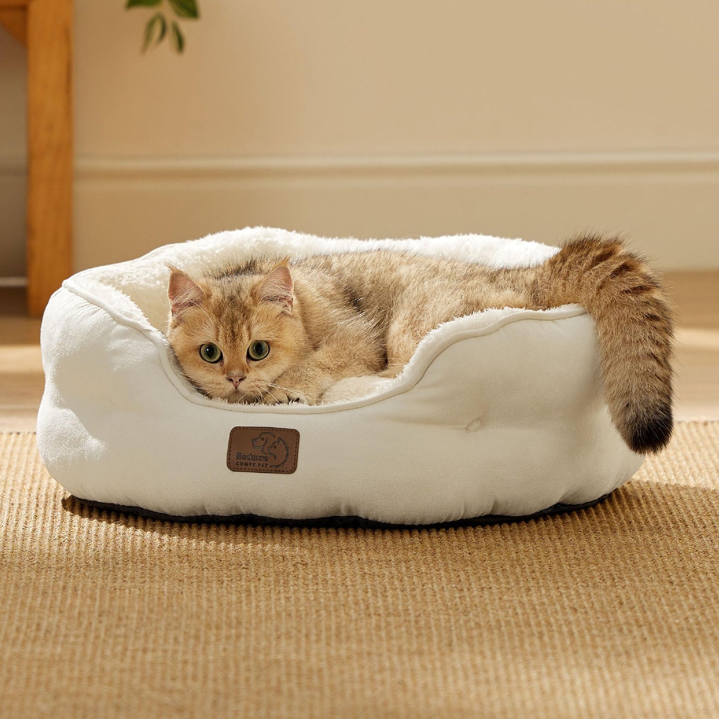 Bedsure Dog Beds for Small Dogs - Round Cat Beds for Indoor Cats, Washable Pet Bed for Puppy and Kitten with Slip-Resistant Bottom, 20 Inche, Ivory