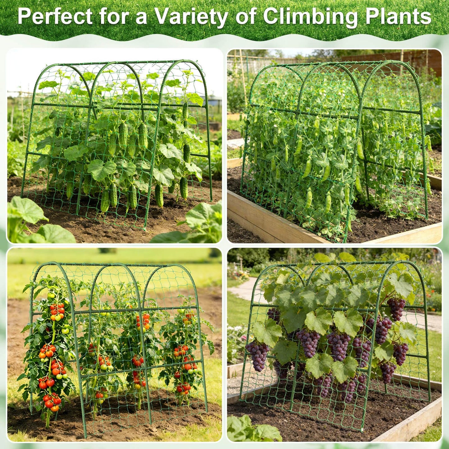 Cludoo Cucumber Trellis for Raised Bed Garden, U-Shape Arch Trellis for Climbing Plants Outdoor, Metal Vegetables Trellis with Netting, Garden Trellis for Cucumber Plants Sweet Pea Bean Grape