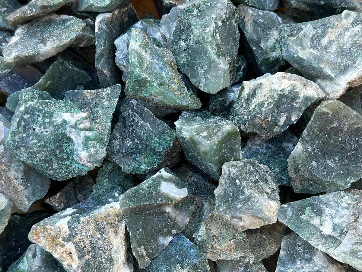1 Pound Raw Tree Agate - Natural Tree Agate Stone, Natural Rough Tree Agate, Tree Agate Rough, Tree Agate Rocks (Tree Agate)